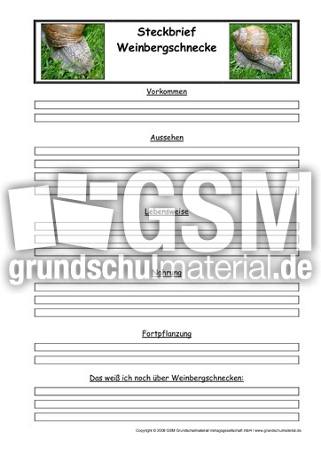 Weinbergschnecke-Steckbriefvorlage.pdf